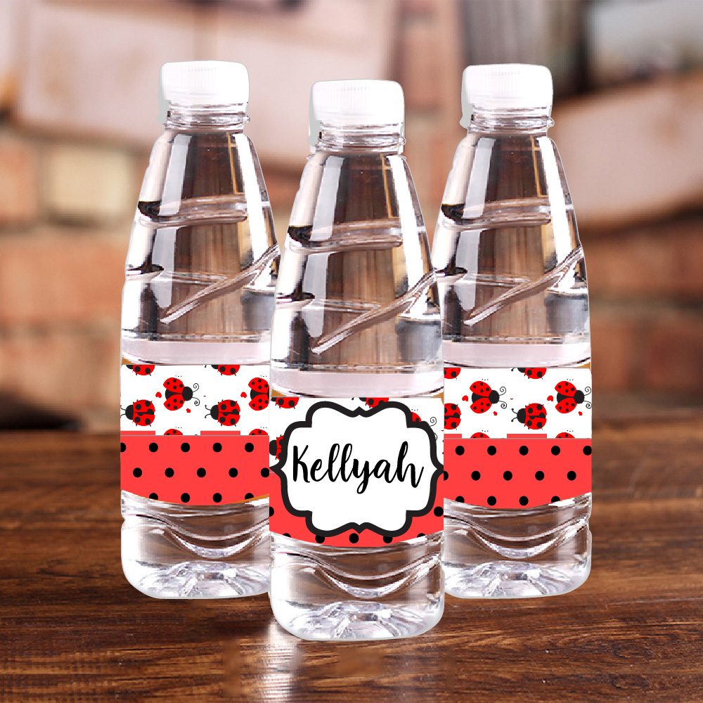 Personalised Ladybug Red Polka - Car Accessories Name recension och pris